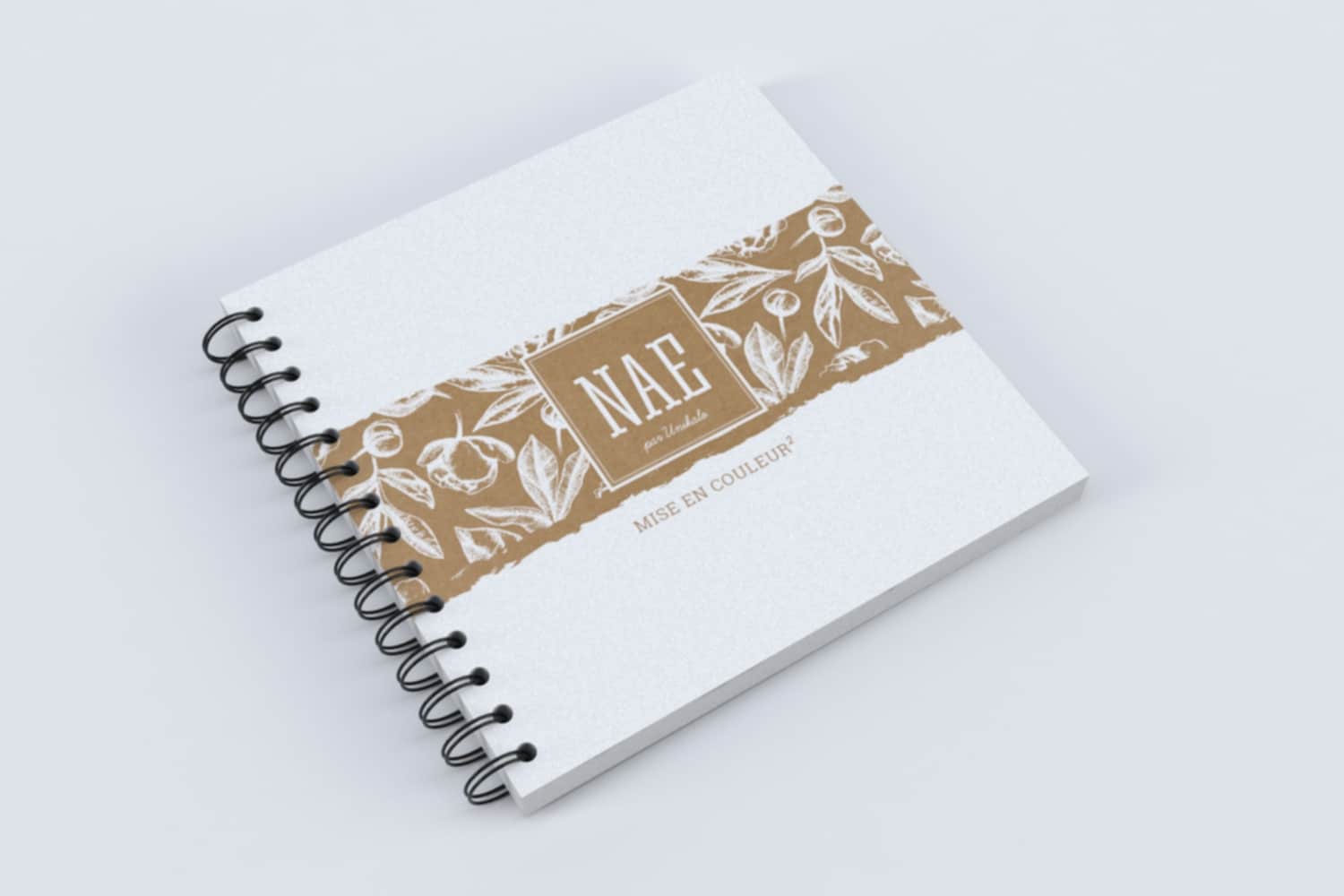 Nuancier Naé Mise en couleur²